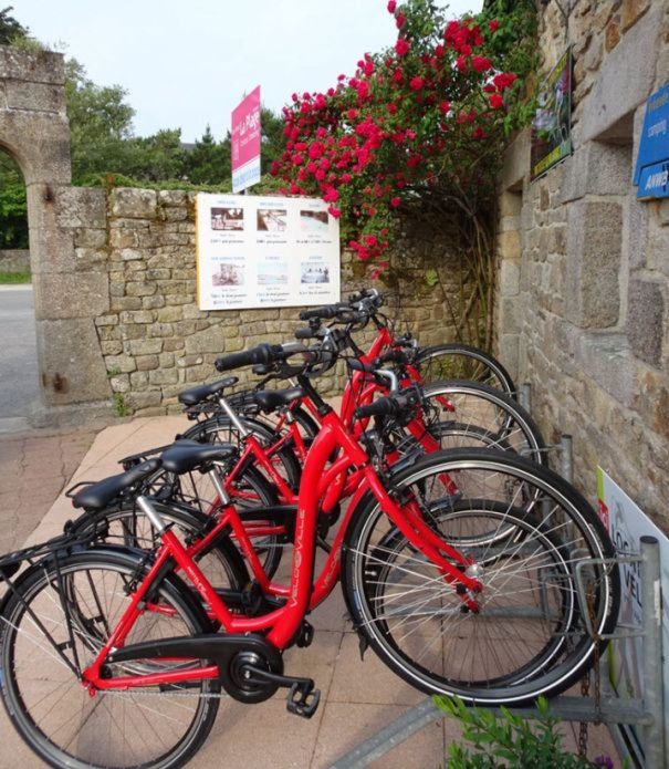 Fahrradverleih Campingplatz