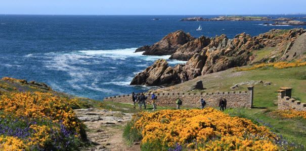 Ku00fcstenpfaden houat u00a9 marc schaffner - morbihan tourisme