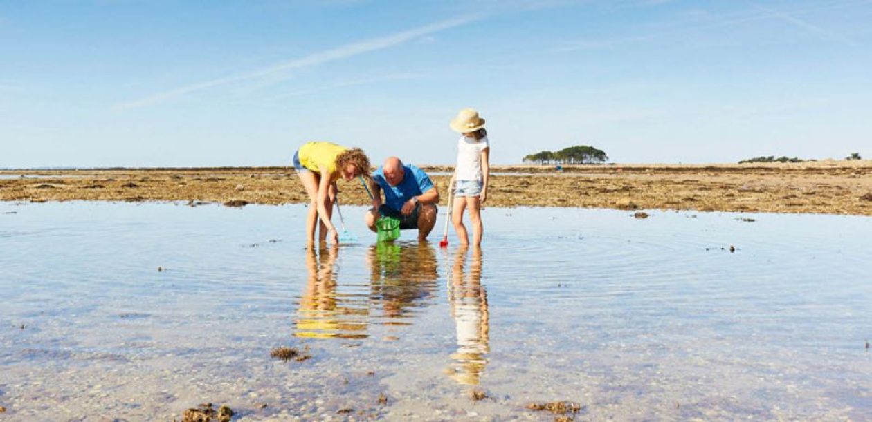 © Alexandre Lamoureux