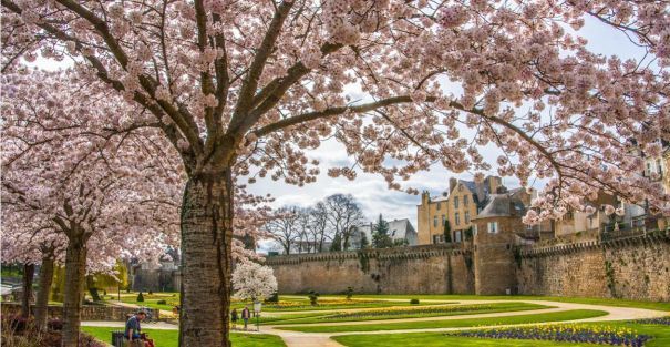 loic kersuzan - morbihan tourisme